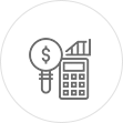 Budget Icon